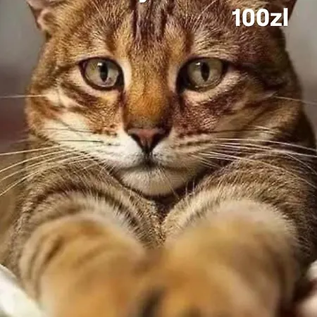 Platinum Towers Cityrent Parking * Varsavia