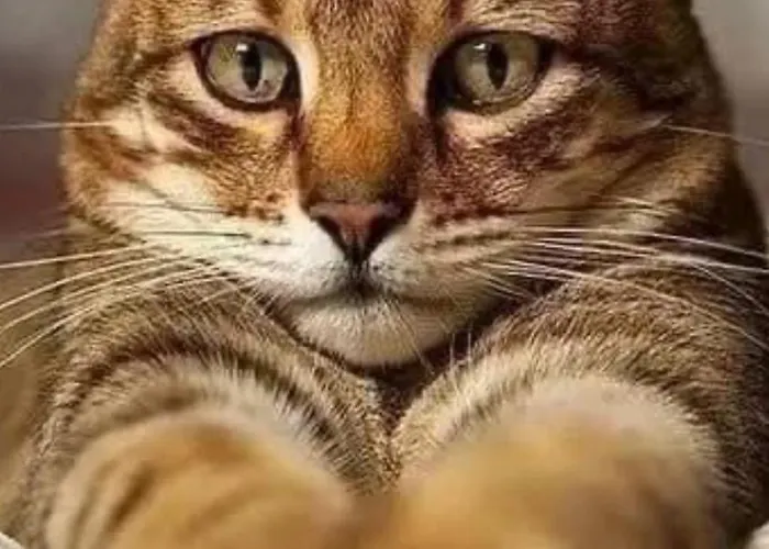 Platinum Towers Cityrent Parking * Warszawa