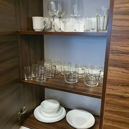 公寓 Platinum Towers Cityrent Parking 华沙